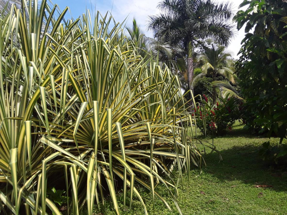 El Toucan Loco Floating Lodges Tierra Oscura ภายนอก รูปภาพ